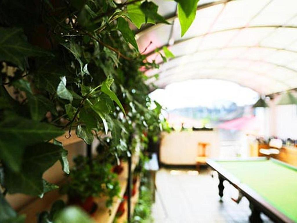 Nanjing Sunflower International Youth Hostel ภายนอก รูปภาพ